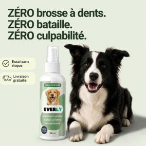 Spray Dentaire EVERLY